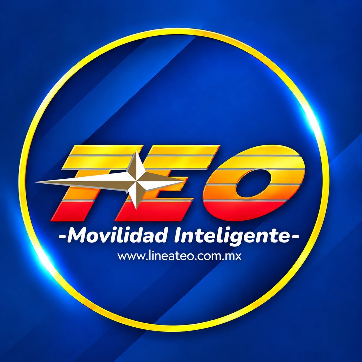 Chofer de Línea TEO frente a la unidad